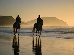 Horeseback Riding On A Beach Beach Rides Horses Horseback Riding
