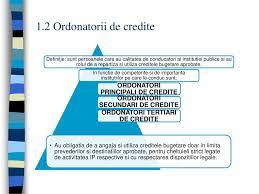 1 1 Definirea Si Clasificarea I P Ppt Download