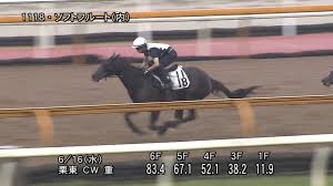 マーメイドステークス 予想 データ コース ⇒ 今年でまだ25回目ということで歴史は浅いが、毎年のように好素材が出走すること、またハンデ戦のため「波乱」が見込めることから、ファンの人気が非常に高い重賞。それだけに当てたい! Oy8pxuxijkf87m