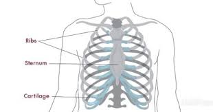 Severe Pain On The Right Side Of The Back Abdomen And Ribs