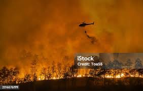 Image result for tbn:XVFRz-6Maj2JLM::www.jolmag.co.za/wildfire/images/Logos/vuvuzela_header.jpg