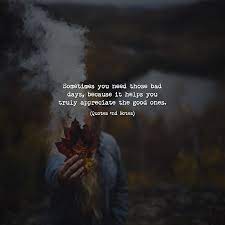 Quotes Nd Notes Sometimes You Need Those Bad Days Because It Helps You Truly Appreciate The Good Ones Via Quotes Nd Notes Facebook