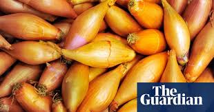 Yin And Yang What S The Difference Between A Shallot And An Onion Shallots Onion Fruit In Season
