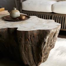 If necessary, place it on a heater or a wood stove. Palecek Chloe Inlaid Fossilized Clam Shell Top Natural Tree Trunk Oval Coffee Table 41 W 50 W Kathy Kuo Home