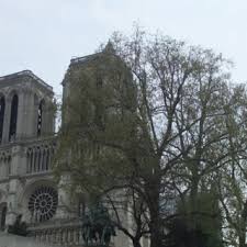 Notre-Dame, Grief, and Trauma