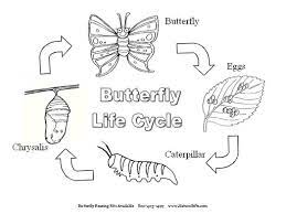 Hundreds of free spring coloring pages that will keep children busy for hours. Monarch Life Cycle Butterfly Life Cycle Life Cycles Butterfly Coloring Page