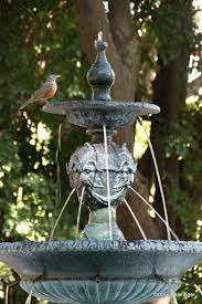 Re Buenos Aires Jardin Botanico Carlos Thais Birds Drinking Love Garden Fountain