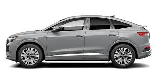 Image result for Pebble Gray 2024 E-Tron