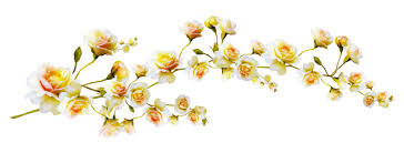 This high quality transparent png images is totally free on pngkit. Ø³ÙƒØ±Ø§Ø¨Ø² Ø²ÙˆØ§ÙŠØ§ ÙˆØ±Ø¯ Ø§Ø²Ø±Ù‚ Png