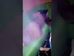 برنامج استار اكاديمي , رقص عربي , رقص شرقي , أحدث حلقات المصارعه الحرة , الكاميرا الخفيه , افلام عربى , فرح شعبى للكبار فقط,يوتيوب رقص فاحش,رقص بيوت ساخن,رقص يوتيوب للكبار,raks manazel,رقص منازل فاحش,رقص منازل خطير,يوتيوب رقص. Ø´Ø§Ù‡Ø¯ Ø±Ù‚Øµ Ù…Ù†Ø²Ù„ÙŠ Ù„Ù‚Ø­Ø¨Ø© Ù…ØºØ±Ø¨ÙŠØ© Ù‡Ù‡Ù‡ Ø§Ù†Ø§ Ù‚Ø­Ø¨Ø©