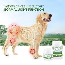 | check out how to make homemade dog food with the best of all recipes! Eggshell Powder Natural Calcium Supplement