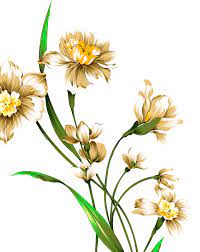 Open Full Size Clipart Library Library Daffodils Drawing Watercolor Narcissus Flowers Watercolor Drawi Watercolor Flowers Watercolor Drawing Narcissus Flower