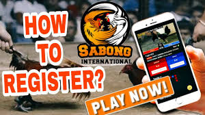 Unleashing Thrill Sabong International