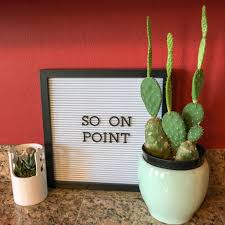 Native americans used their pulp and juice to treat wounds and digestive ailments. Funny Plant Quotes Funny Garden Quotes The Gifted Gabber