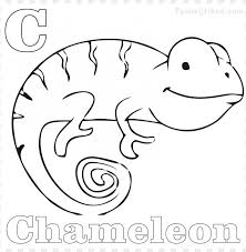 A curious chameleon to color! A Color Of His Own Chameleon Coloring Page Png Image With Transparent Background Toppng