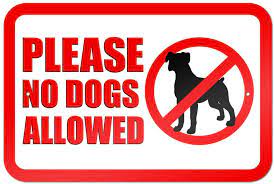 Maybe you would like to learn more about one of these? Amazon Com Please No Dogs Allowed 9 X 6 Metal Sign Office Products
