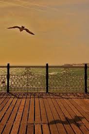 Bluehome Manzara Sehir