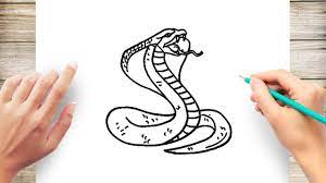 Learn How To Draw Realistic Cobra Snake - Youtube