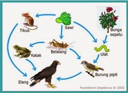 Maybe you would like to learn more about one of these? Kaidah Penulisan Soal Isian Dan Jawaban Singkat Gurnulis