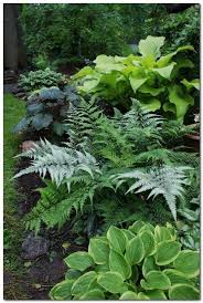 43 Einfache Aber Effektive Gartengestaltung Mit Kleinem Budget Yardlandscapingi Garten Design Garten Farne Garten