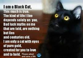 Black Cat Poem Black Cat Appreciation Day Black Cat Quotes Black Cat
