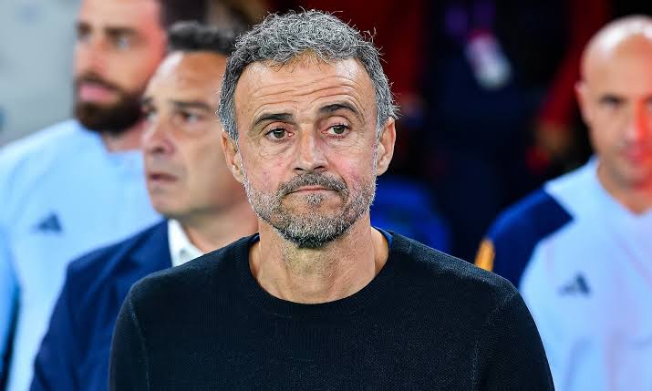 MATT BARLOW'S WORLD CUP DIARY: Spain boss Luis Enrique's latest stream  proves to be insightful | Daily Mail Online