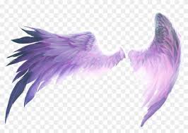 Neon angel wings is a new and improved stickers for pictures app! Ftestickers Wings Purple Pink Angel Wings Png Clipart 3914532 Pikpng