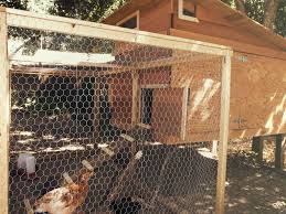 Let's say you've acquired a coop. Coop Maintenance How To S Chicken Saloon Chicken Saloon