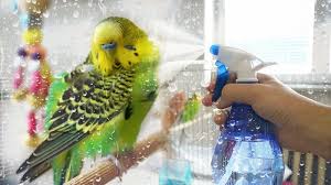 muhabbet kusu banyo suyu sicakligi iki pati