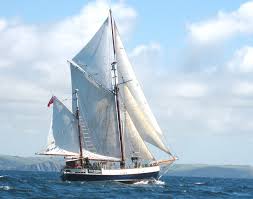 Image result for Tectona