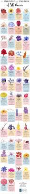 The Etymology And Symbolism Of 50 Flowers Infographic Flower Meanings Flower Names Different Kinds Of Flowers