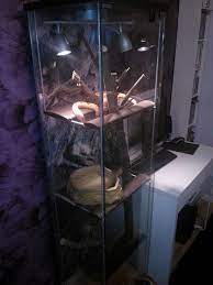 Pin On Diy Crafts That I Love