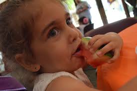 PHOTO GALLERY : First Presbyterian Butterfly Ball