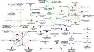 Arid regions, variations in environmental factors such as temperature, precipitation cacti are exposed to pressure from collectors due to their value (oldﬁeld 1997 Genomic Analysis Of The Four Ecologically Distinct Cactus Host Populations Of Drosophila Mojavensis Biorxiv