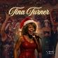 Tina Turner Tribute Party Night event image