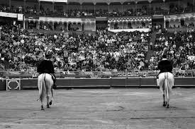 Manizales arranca esta noche su Feria 'Toros y ciudad' | mundotoro.com