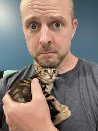 Subaru Subie mountain trail road dust removal