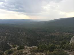 Han er greid til aa symja og liver av fisk. Wikiloc Picture Of Oter Rio Tajo Oter 1 5