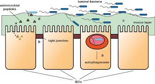 5 november 2020 (khamis) soalan tuan prabakaran a/l m parameswaran  batu  minta menteri pembangunan wanita, keluarga dan masyarakat menyatakan lebih daripada jumlah 2,000 borang permohonan bantuan jkm (wpkl) masih tertangguh bagi tahun 2020 oleh kerana pekerja. Https Macau Uni Kiel De Servlets Mcrfilenodeservlet Dissertation Derivate 00008282 Thesis Ft Full Print Version Pdf