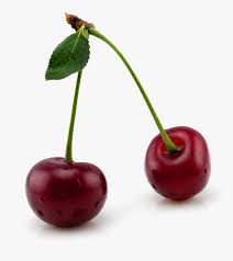 This high quality free png image without any background is about fruits and cherry. Cherries Png Image Free Cherry Transparent Png Kindpng