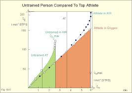 New Human Physiology Ch 18