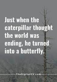 Pin On Inspire Me