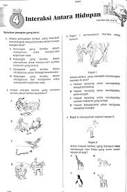 Tahun 6 sains upsr interaksi antara tumbuhan. Interaksi Antara Hidupan Worksheet
