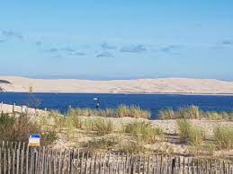 We did not find results for: Mirador Le Lege Cap Ferret Restaurant Reviews Photos Phone Number Tripadvisor