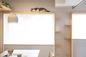 pet na decor petnadecor fotos e videos do instagram in 2021 cat house diy pet furniture cat furniture