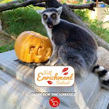 Fresno Chaffee Zoo-ը նոր լուսանկար է...