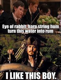 In pirates of the caribbean: Pirates Of The Caribbean Memes