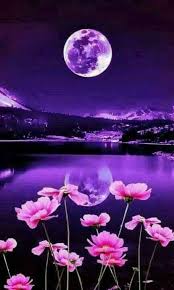 Tons of awesome hd hp wallpapers to download for free. Pin On Wallpaper Smartphone Case Hp Indonesia