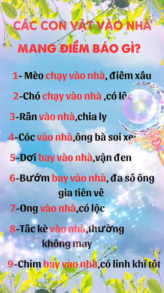 Các con vật vào nhà mang điềm báo gì ?