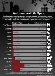 Malgré une aventure qui s'annonce très intense émotionnellement en raison de son aspect survie fort prononcé, the last of us ne devrait pas sortir de la norme pour un jeu de ce type niveau durée de vie. The Unnatural Life Span Of Farm Animals La Duree De Vie Anormale Des Animaux De Ferme Animal Rights Vegan Facts Vegan Animals